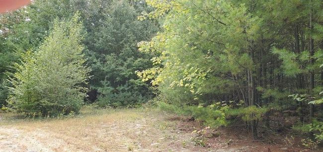 220 Stowell Rd, Home with 0 bedrooms, 0 bathrooms and null parking in New Ipswich NH | Image 5