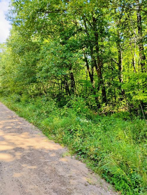 TBD Olson Rd, Hinckley, MN, 55037 | Card Image