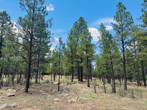 429-4185 Apache Dr, Happy Jack, AZ, 86024-8748 | Card Image