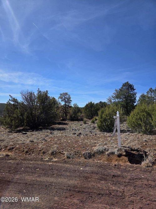8125-6 Co Road, Vernon, AZ, 85940 | Card Image