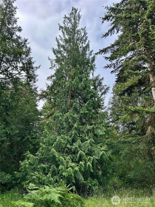 3202 Cliff St, Port Townsend, WA, 98368-4700 | Card Image