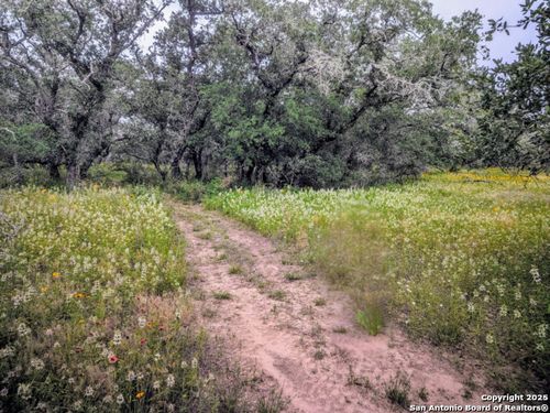 TBD County Rd, Natalia, TX, 78059 | Card Image