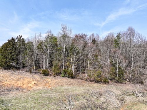Tbd Campbell Circle, Chuckey, TN, 37641 | Card Image