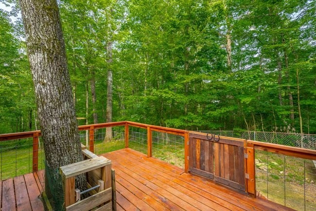 71 Miller Cove Cir, House other with 3 bedrooms, 2 bathrooms and null parking in Signal Mountain TN | Image 34