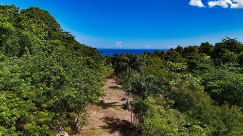 PUNTAS PARADISE-- Calle Vista Del Mar, Rincon, PR, 00677 | Card Image