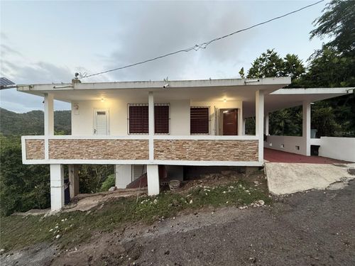 KM 66.2 Pr-123 Road, UTUADO, PR, 00641 | Card Image