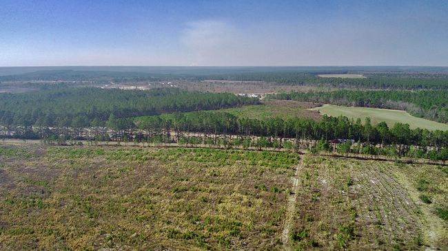 000 Three Notch Rd, Home with 0 bedrooms, 0 bathrooms and null parking in Monetta SC | Image 8