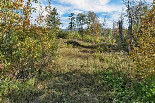 44 Williams Hill Rd, Grafton, NH, 03240-3538 | Card Image