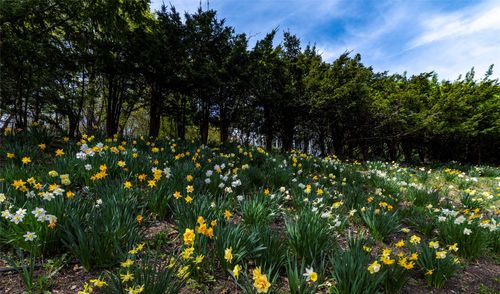 74 S Highland Ave, Nyack, NY, 10960-3609 | Card Image