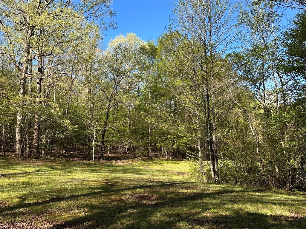 Land in Smithville 5