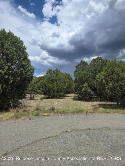 8-Lot 221 Antler Drive, Alto, NM, 88312 | Card Image