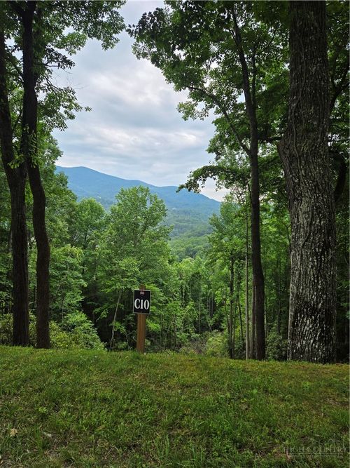 Lot C10 Bear Paw Rd, Elk Park, NC, 28622 | Card Image