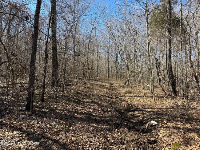2701 Hardesty Raymond Rd, Home with 0 bedrooms, 0 bathrooms and null parking in Webster KY | Image 18