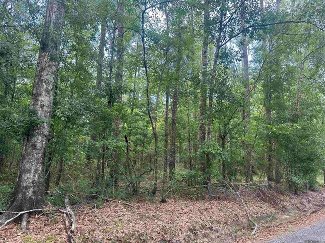 26.85 Acres Heritage Acres Ln, Home with 0 bedrooms, 0 bathrooms and null parking in Robert LA | Image 16