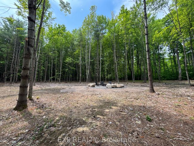 3191 Mountain View Rd, Home with 0 bedrooms, 0 bathrooms and null parking in Killaloe ON | Image 11