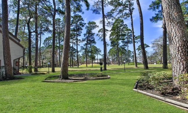 APT-212B - 12900 Walden Rd, Townhouse with 1 bedrooms, 2 bathrooms and null parking in Montgomery TX | Image 30