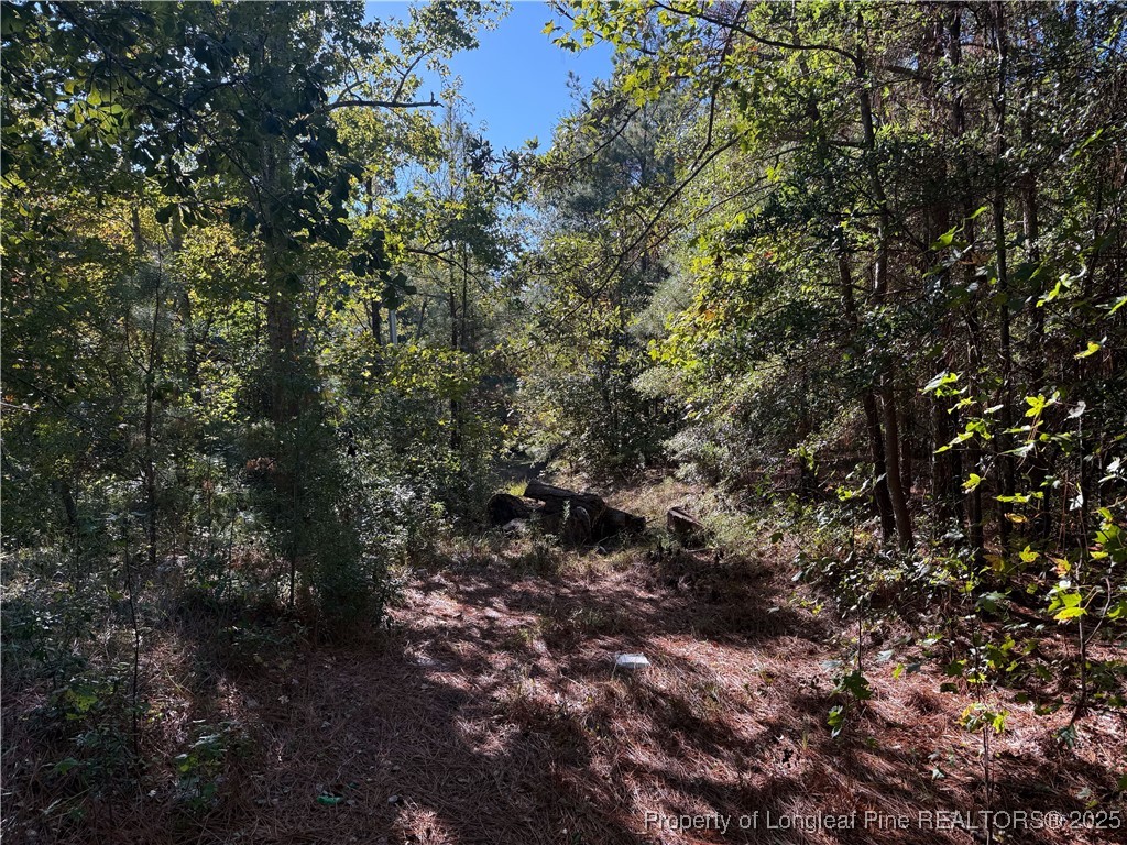 Land in Hope Mills 2