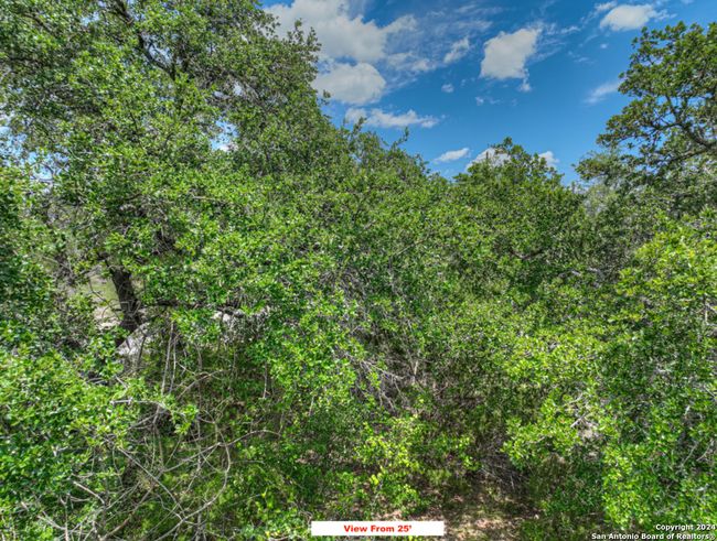 000 S Contour Dr, Home with 0 bedrooms, 0 bathrooms and null parking in Spring Branch TX | Image 15