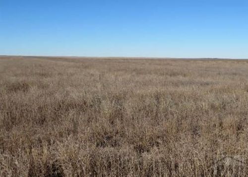 R41 T26 S17 County Road 35, Holly, CO, 81047 | Card Image