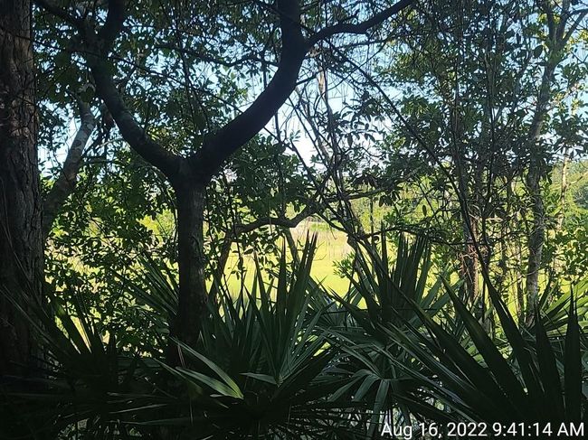 with some clearing of trees a lake view will open up. | Image 18