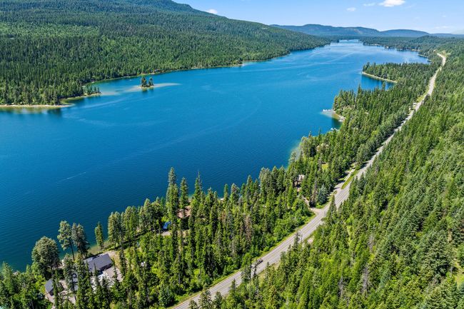 Aerial view of a forest and a water and mountain view | Image 46