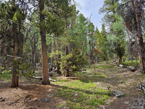 7923 Suds Spot Rd, Fairplay, CO, 80440 | Card Image