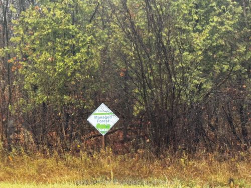 LOT County Road 43 Road, North Glengarry, ON, K0C1A0 | Card Image