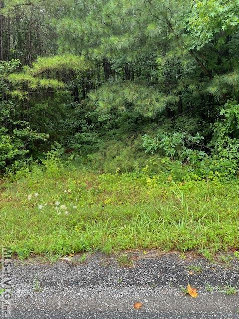 Land in Lawrenceville