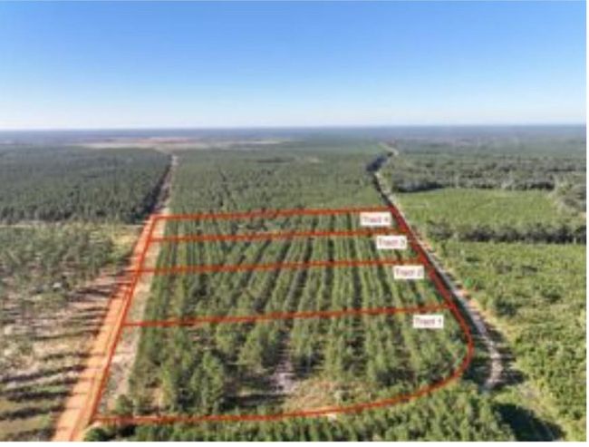0 Richardson Rd E, Home with 0 bedrooms, 0 bathrooms and null parking in Livingston TX | Image 5