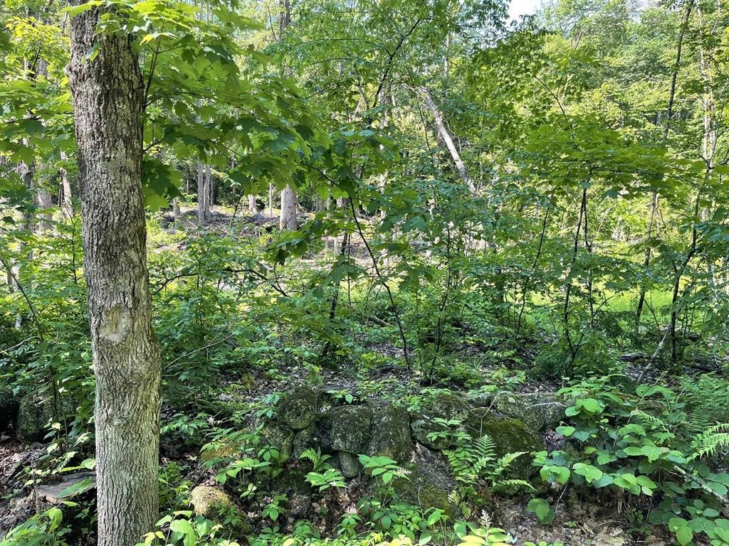 Land in Hillsborough 3