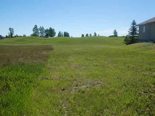 {{alt}} | Card Image