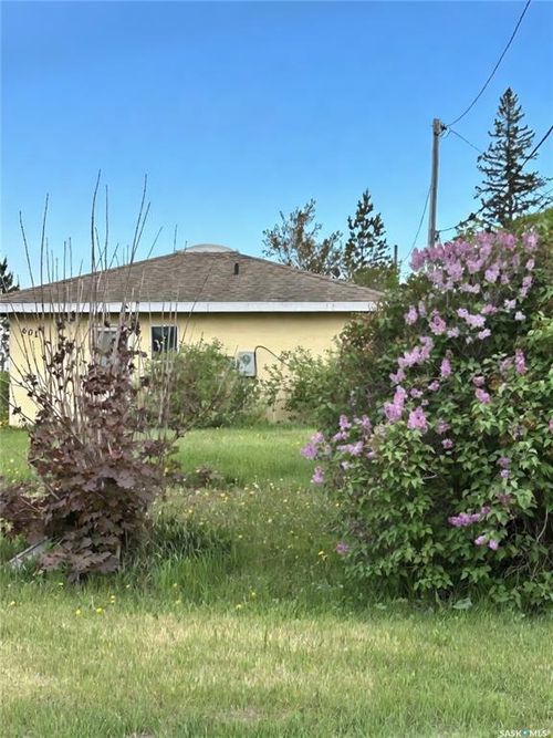 601 Colborne Ave, Viscount, SK, S0K | Card Image