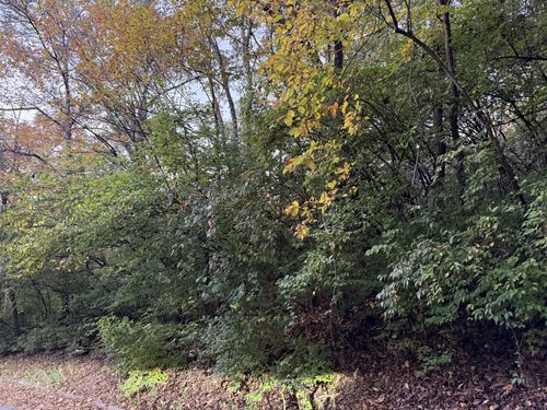 1332 Oakleigh Hill Drive, Nashville, TN, 37215 | Card Image