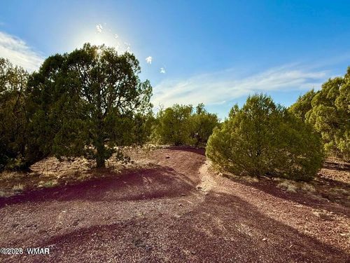 1838 Rocky Bottom Place, Show Low, AZ, 85901 | Card Image