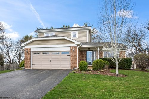 163 Denberry Ct, Lake Zurich, IL, 60047-7908 | Card Image
