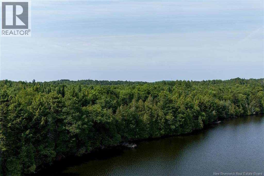 Land in Upper Skiff Lake 5