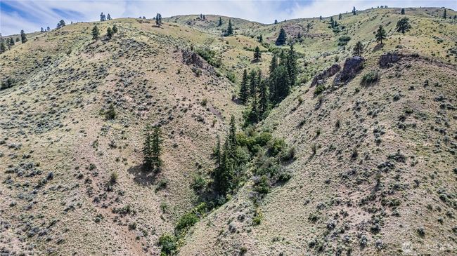 0 Number 2 Canyon Rd, Home with 0 bedrooms, 0 bathrooms and null parking in Wenatchee WA | Image 36