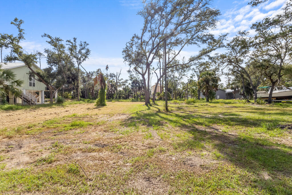 Land in Steinhatchee 4