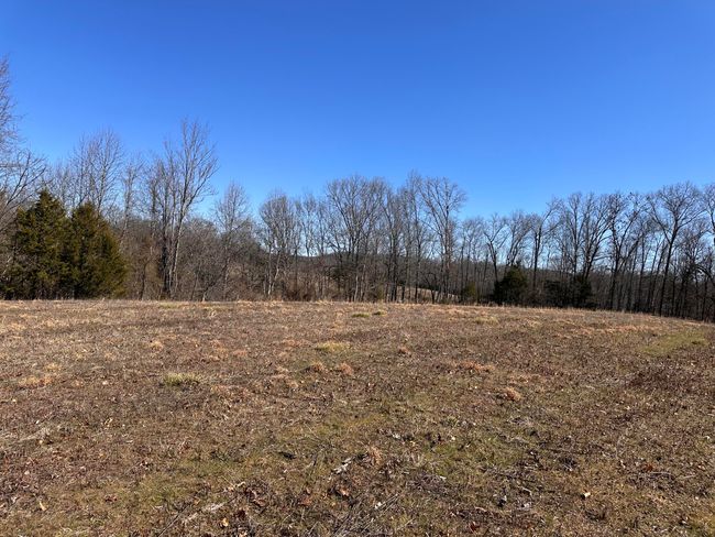265 - 24265 S Mohawk Rd, Home with 0 bedrooms, 0 bathrooms and null parking in Mohawk TN | Image 38