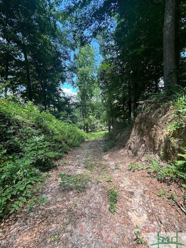 Drive down to the lower level close to the river | Image 8