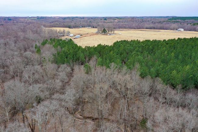 4031 Marion Rd, Home with 0 bedrooms, 0 bathrooms and null parking in Chatham VA | Image 50