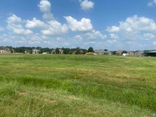 lot 24 Buddy Gore Rd, Gonzales, LA, 70737-7882 | Card Image
