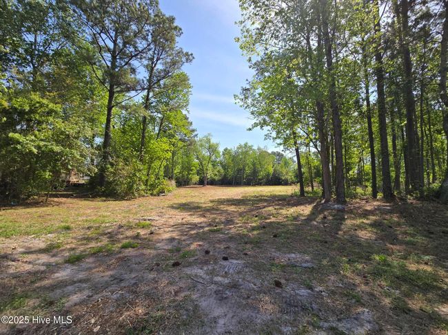 1254 Shenandoah St, Home with 0 bedrooms, 0 bathrooms and null parking in Wilmington NC | Image 21