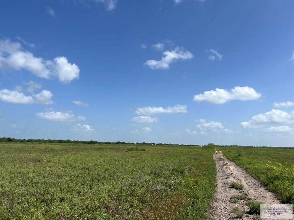 Land in Los Fresnos