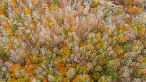 0 Chestnut Run, Elizabeth, WV, 26143 | Card Image