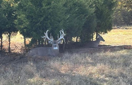 368145 980 Rd, Boley, OK, 74829-2503 | Card Image