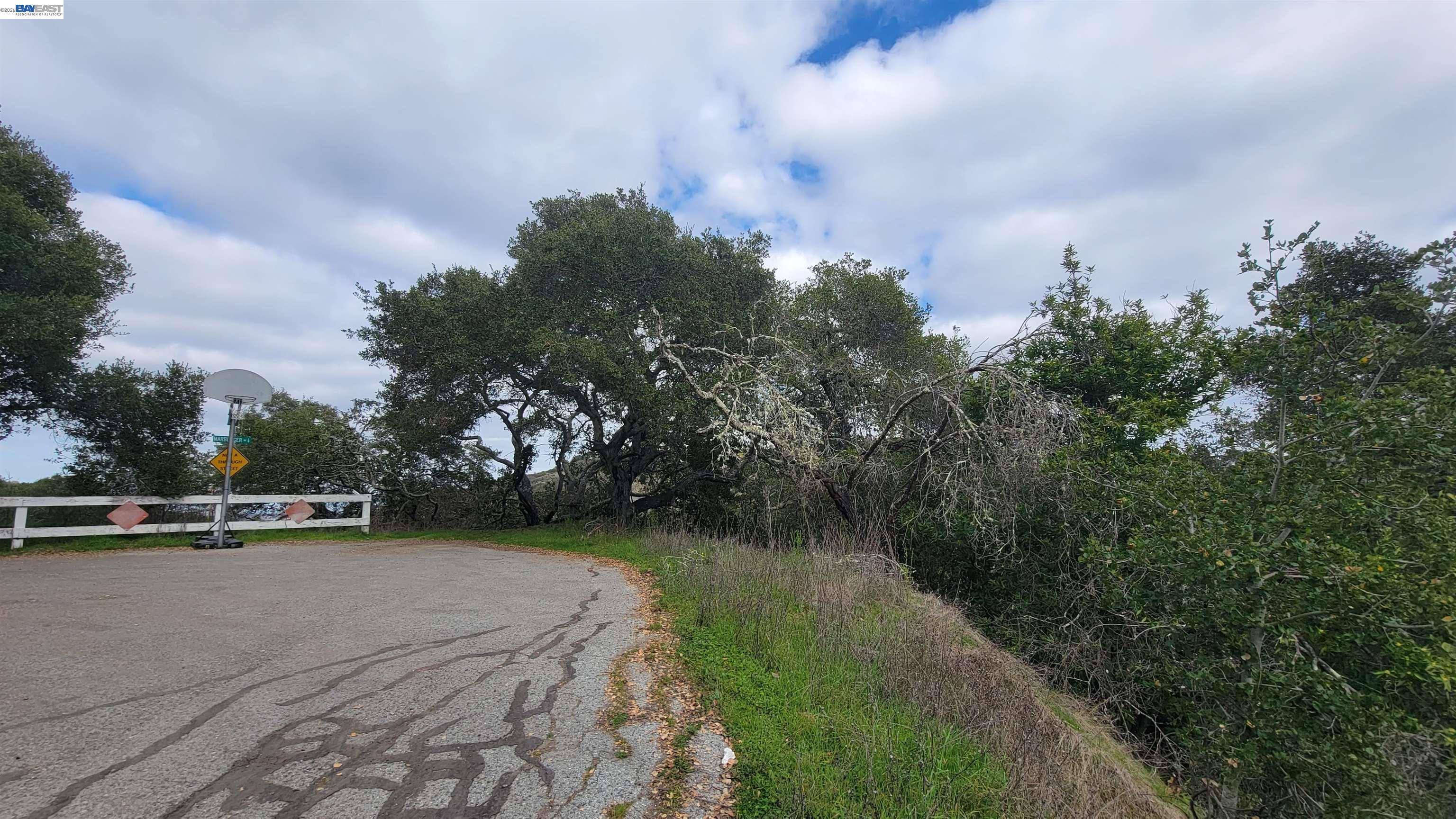 Land in Belmont 4