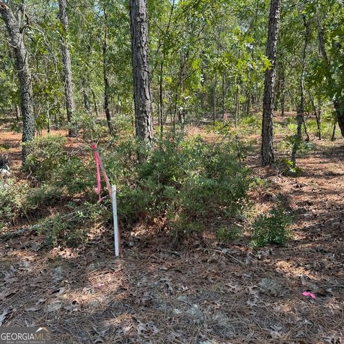 0 Ga Highway 46 W, TWIN CITY, GA, 30471 | Card Image