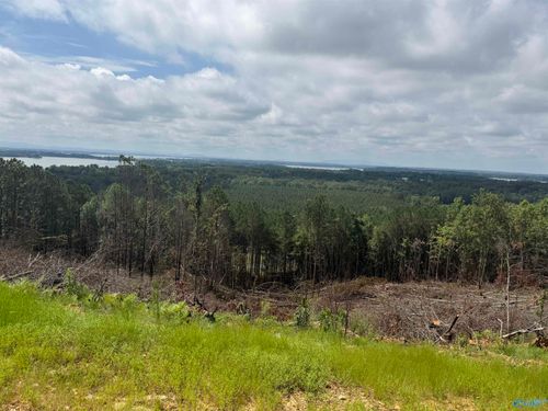 6-Lot 6 County Road 1022, Cedar Bluff, AL, 35959-3218 | Card Image