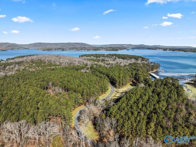 331 John Cabaniss Rd, Home with 0 bedrooms, 0 bathrooms and null parking in Langston AL | Image 9